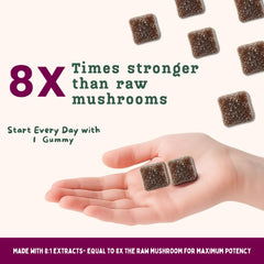 Baker's Botanics Longevity Gummies chaga ingredients illustration emphasizing robust herbal blend for balance.