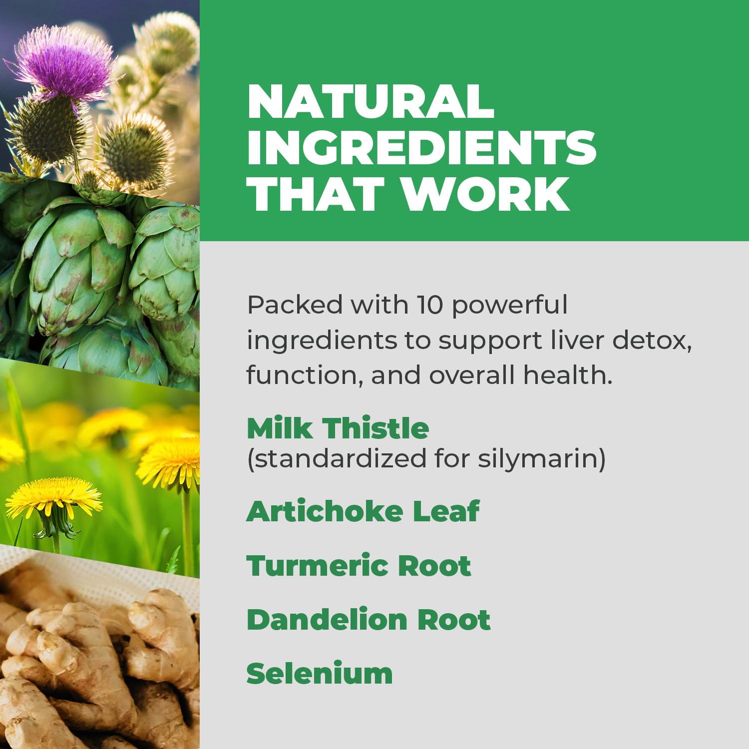 Balance One milk-thistle capsules support liver cell health via silymarin