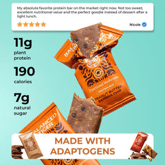 Balanced Tiger packaging closeup — premium ingredients and mushroom blend