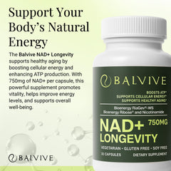 BALVIVE NAD+ capsules close-up highlighting small, easy-to-swallow capsules.