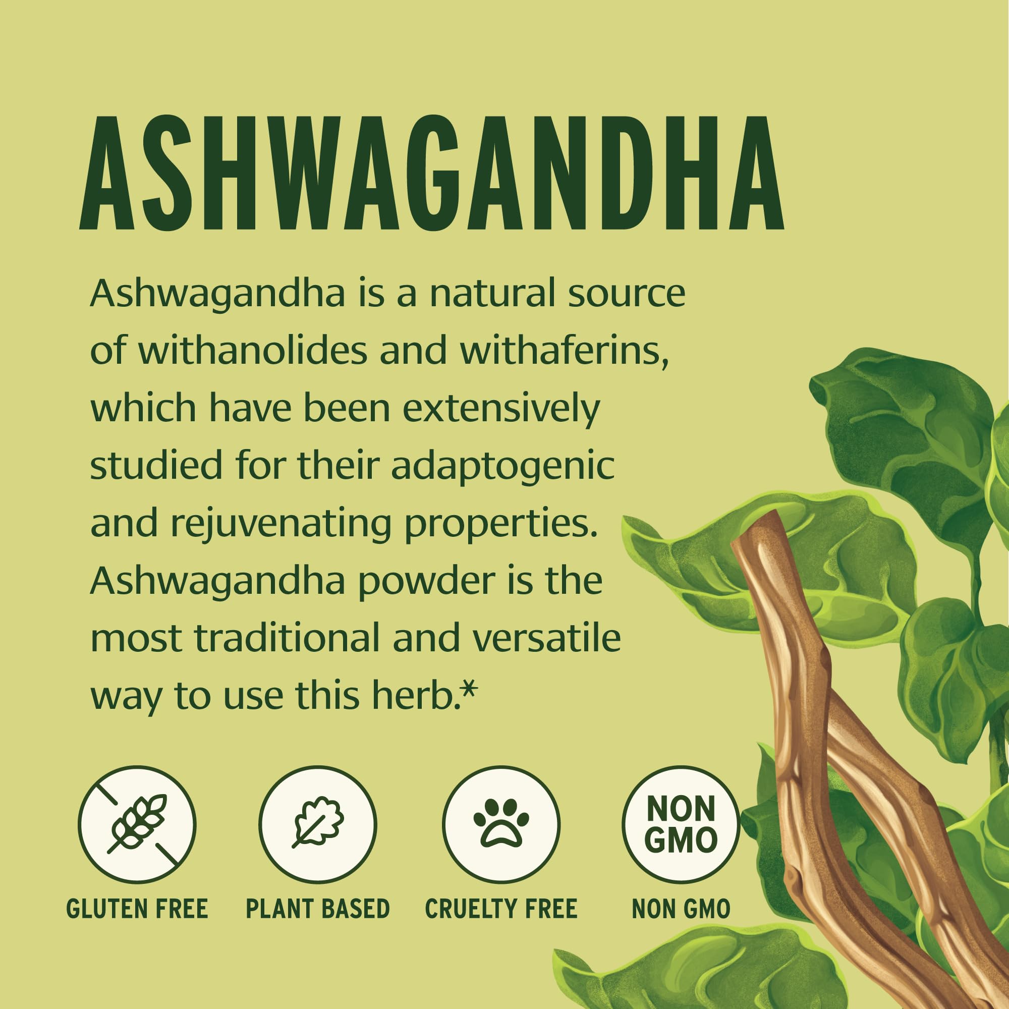 Banyan Botanicals Ashwagandha powder poured into a spoon for daily use.