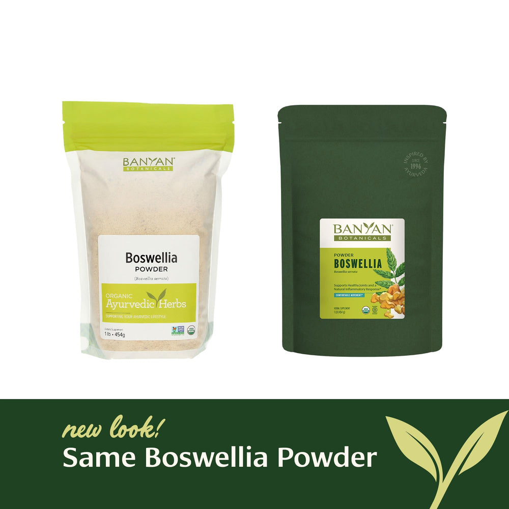 Close-up texture of Banyan Botanicals Boswellia powder showing fine resin dust for blending.