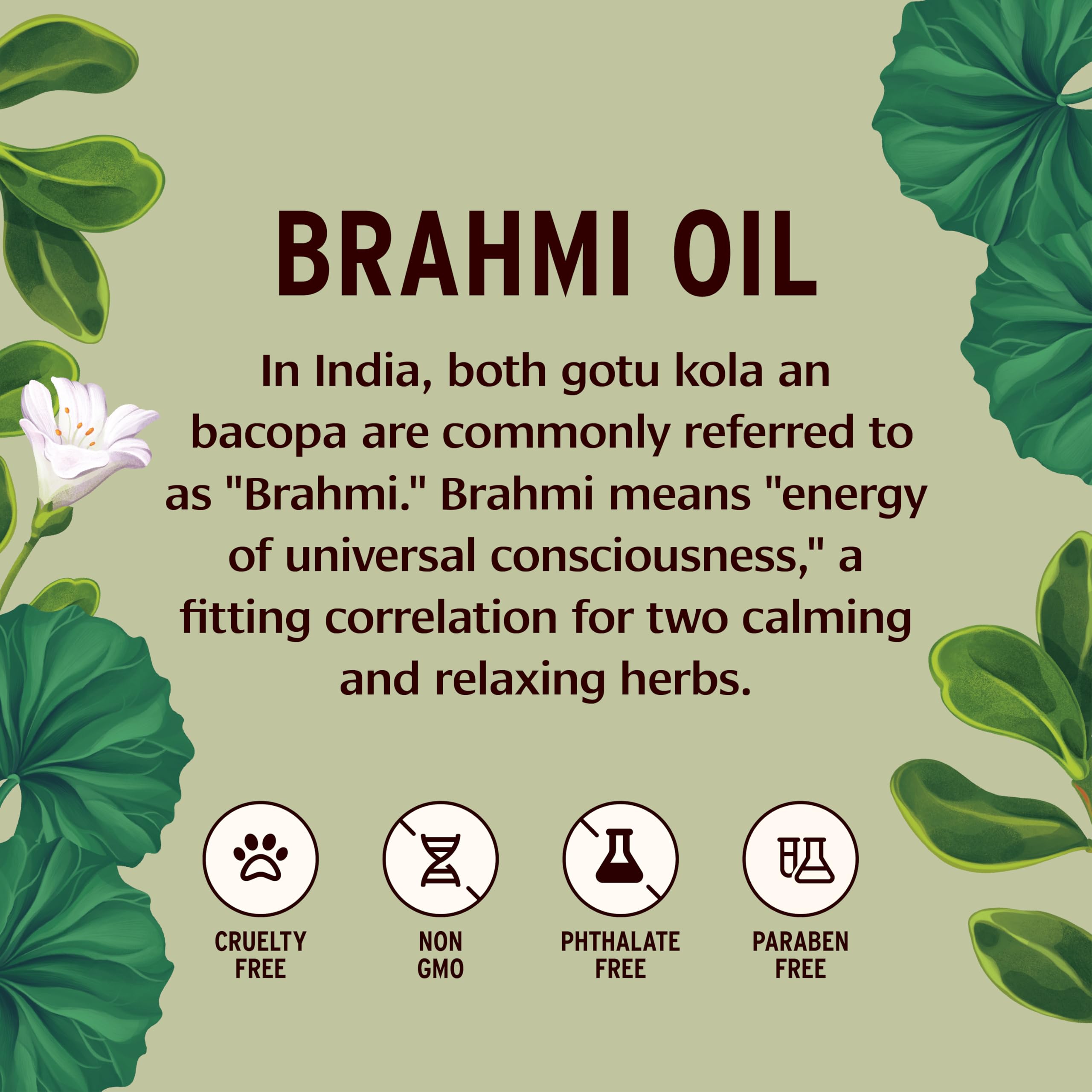 Close up of gotu kola bacopa infusion in Banyan Brahmi Oil