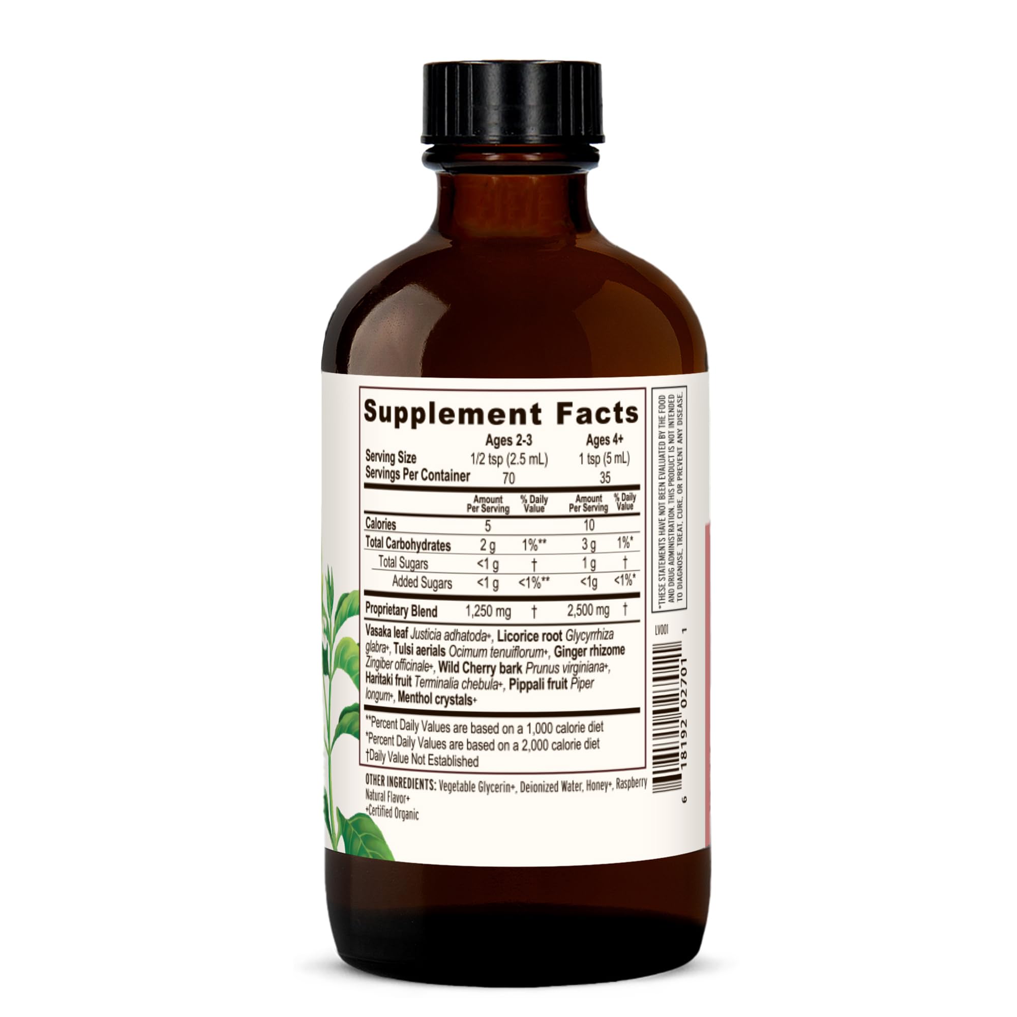 Banyan Botanicals Bronchial Support syrup label shows organic, alcohol-free formula for clean respiratory support.