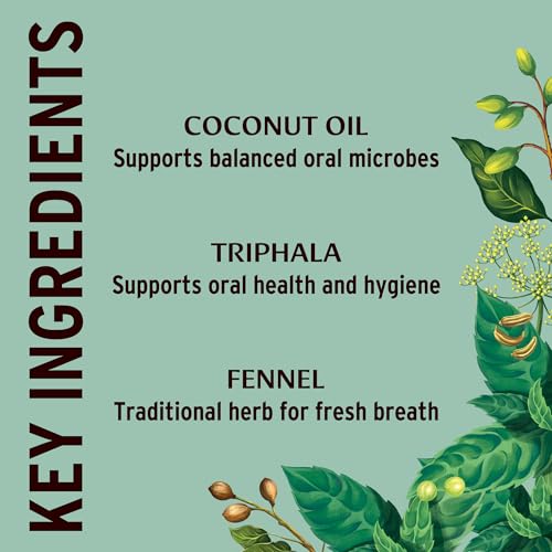 Close-up of Banyan Botanicals Daily Swish mint travel packet showing single-use sachet design