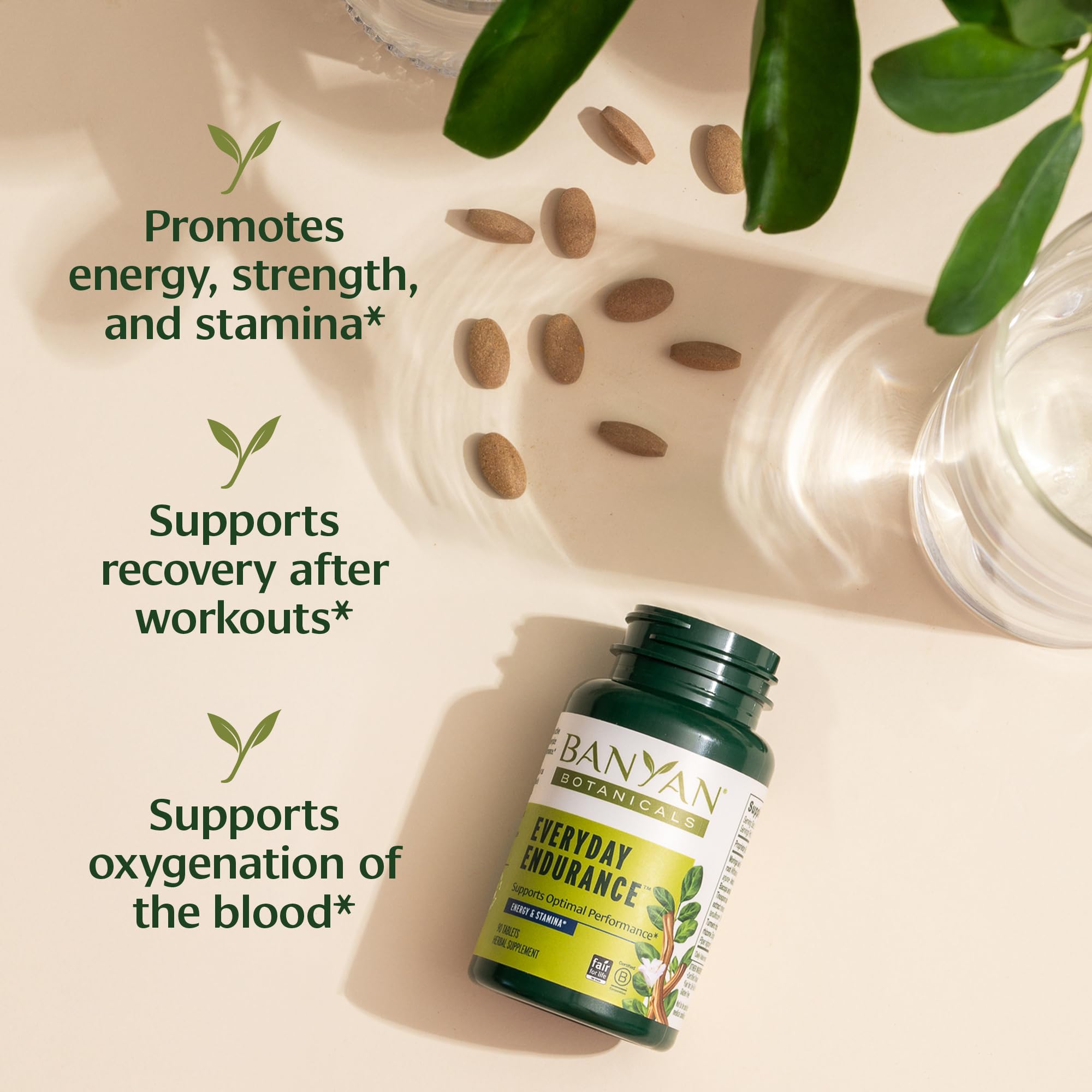 Everyday Endurance tablets on label emphasizing Ayurvedic adaptogens