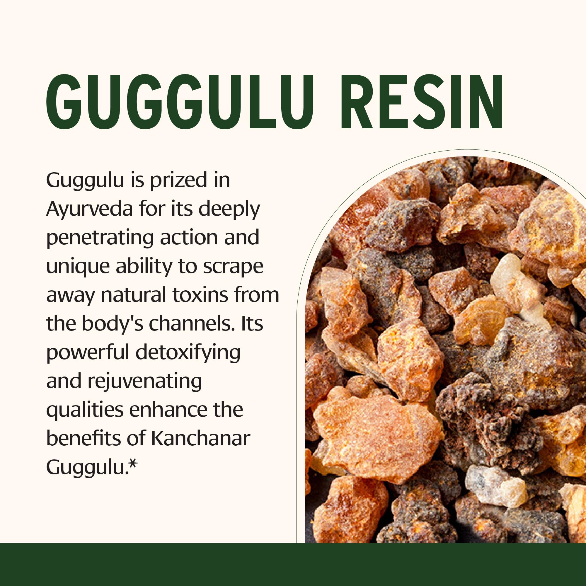 Kanchanar Guggulu capsules from Banyan Botanicals for daily drainage support