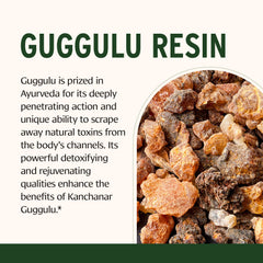 Kanchanar Guggulu capsules from Banyan Botanicals for daily drainage support