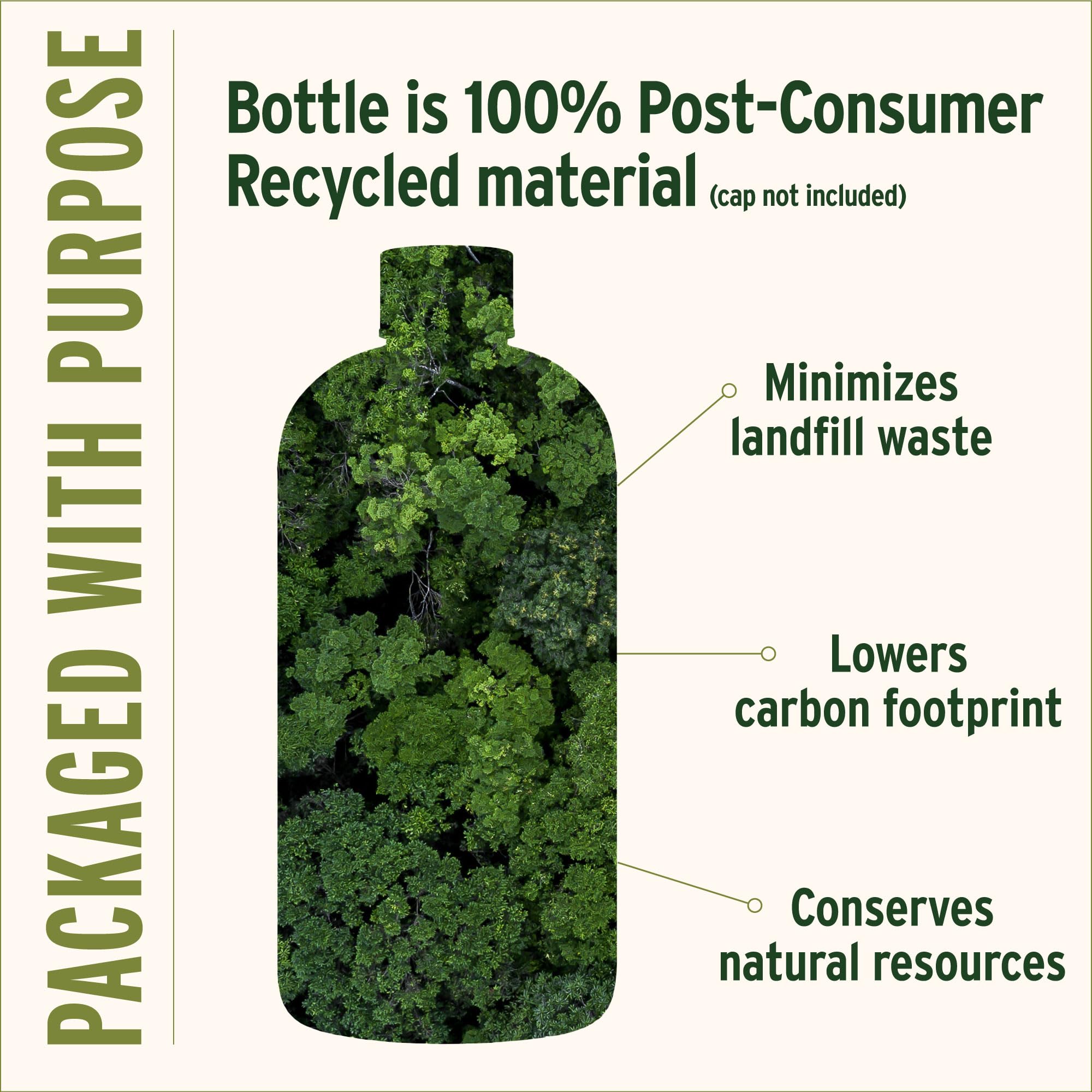 Mint Daily Swish ingredients panel highlights Ayurvedic botanicals