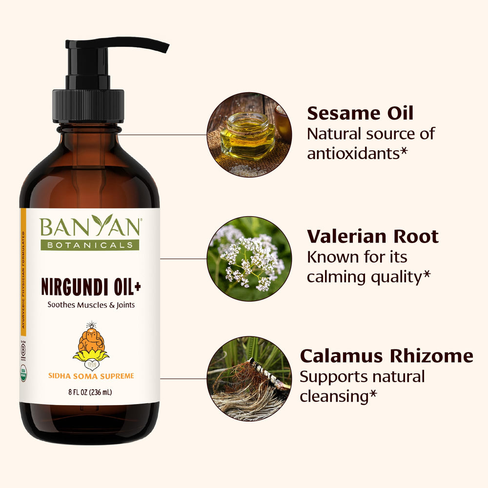 Nirgundi Oil+ massage-application ready for full-body relaxation after workouts by Banyan Botanicals.