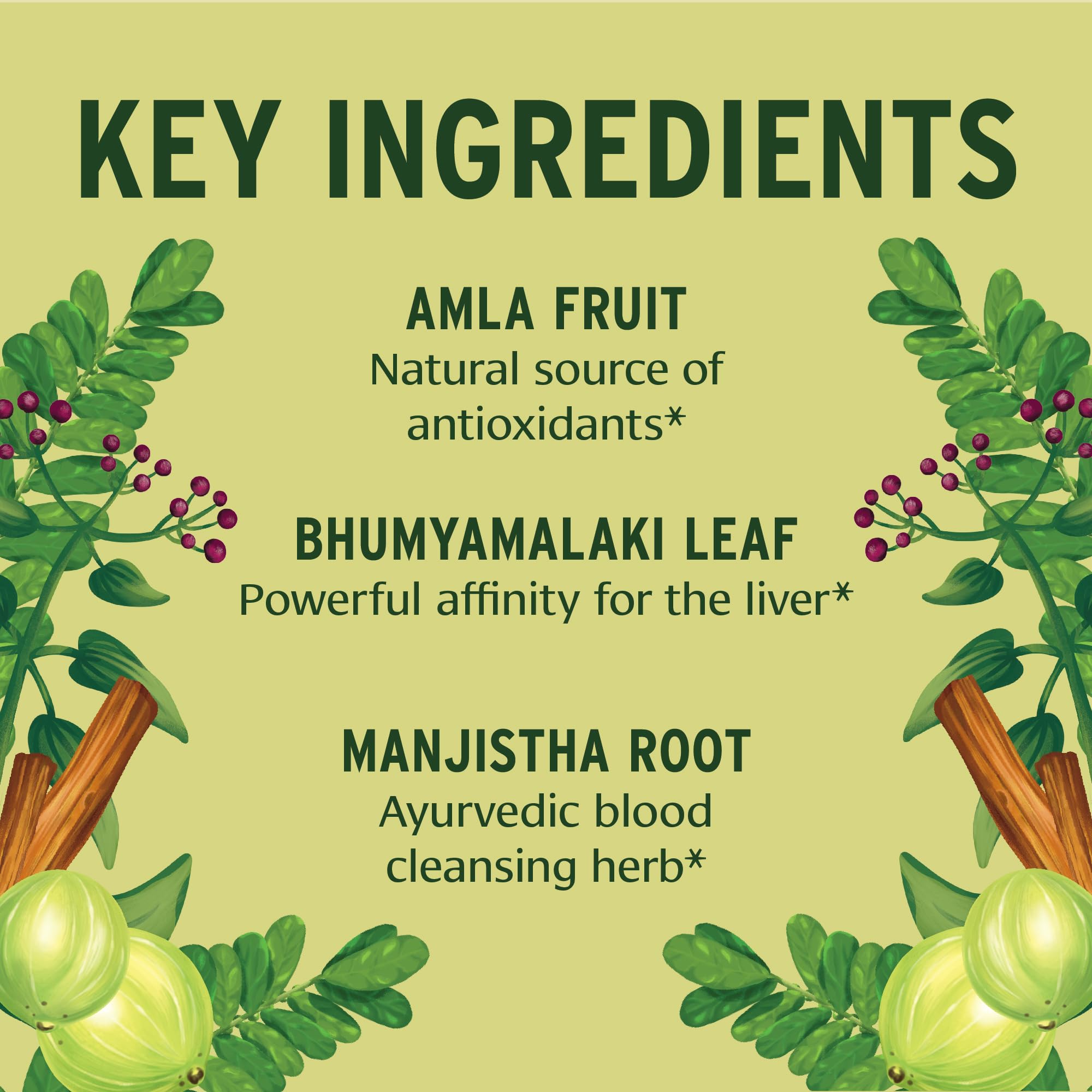 Banyan Botanicals Total Body Cleanse close view of amla and kalmegh herbs.