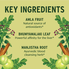 Banyan Botanicals Total Body Cleanse close view of amla and kalmegh herbs.