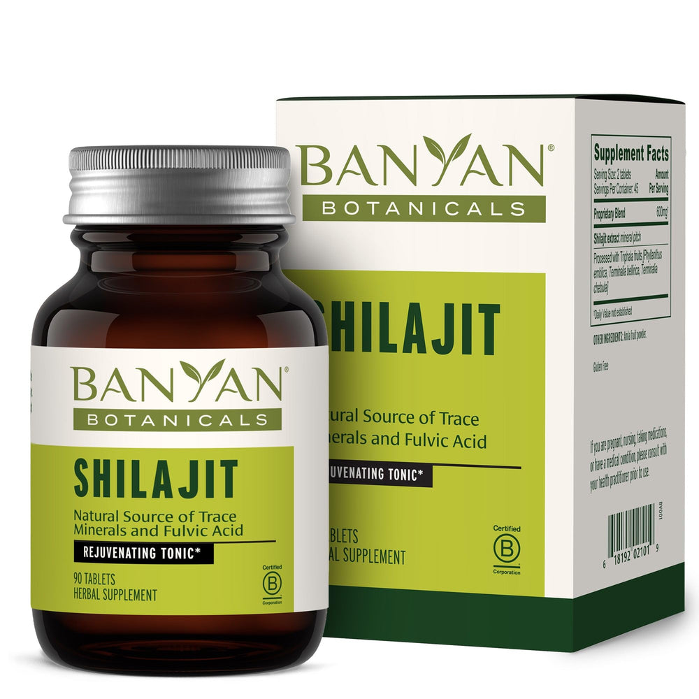 Banyan Botanicals Shilajit tablets bottle shows mineral-rich energy support.
