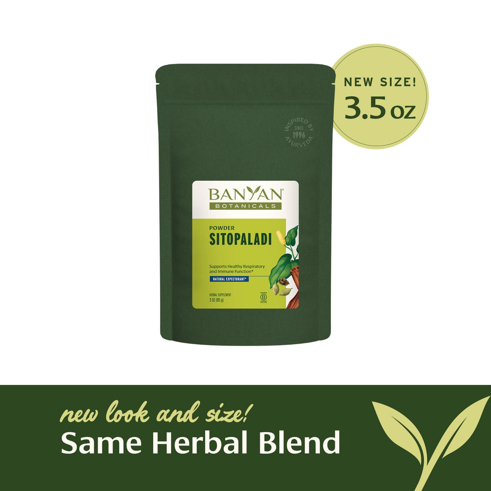 Banyan Botanicals Sitopaladi Powder tea steep image shows a warm respiratory ritual.