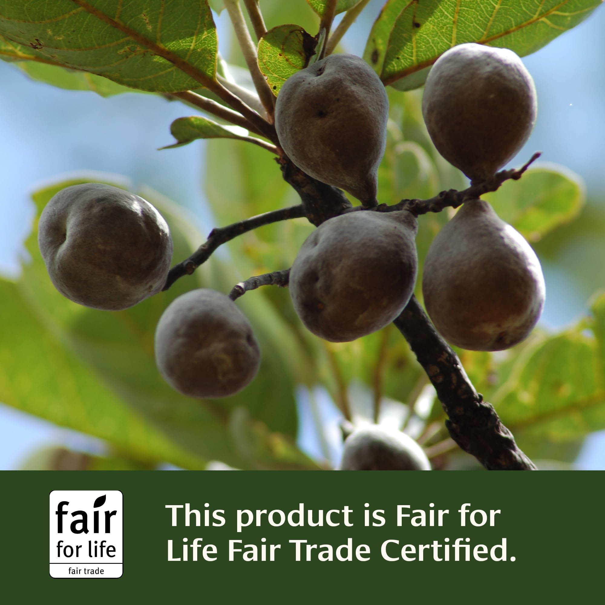 Banyan Botanicals sustainably sourced packaging signals eco-conscious wellness.