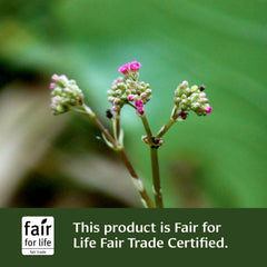 Banyan Botanicals Trim Support with Guggulu and Triphala signaling cleansing benefits.