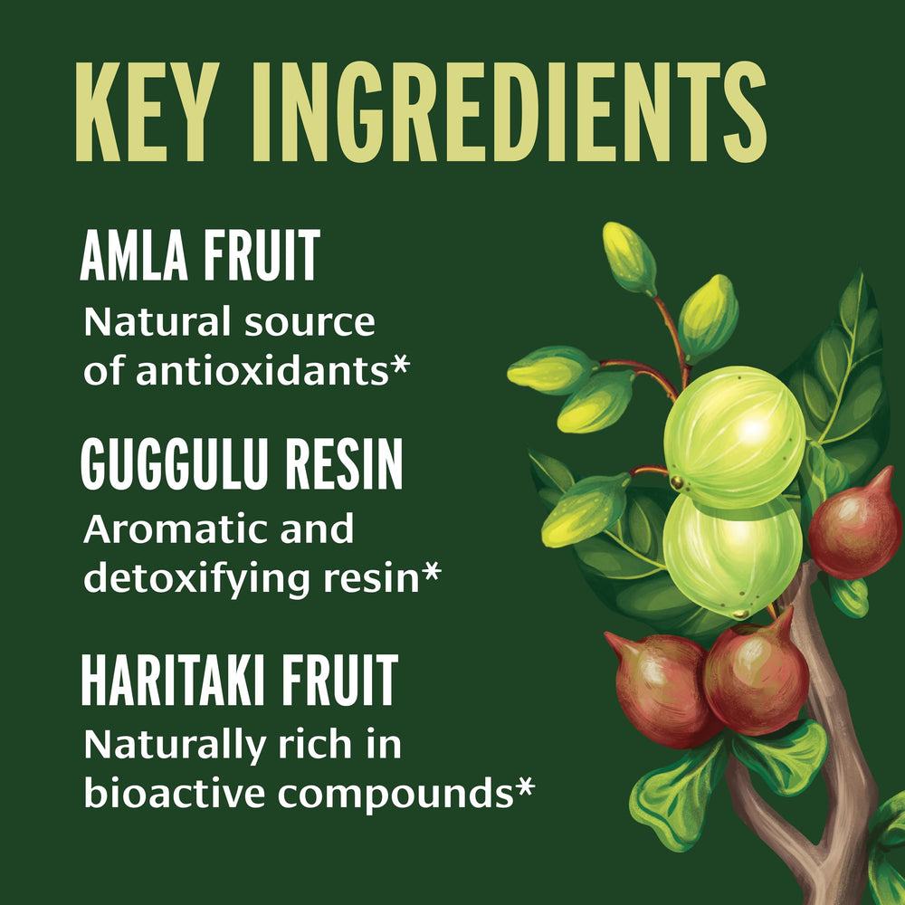 Ingredients overview of Banyan Botanicals Triphala Guggulu with bibhitaki, haritaki, and amla