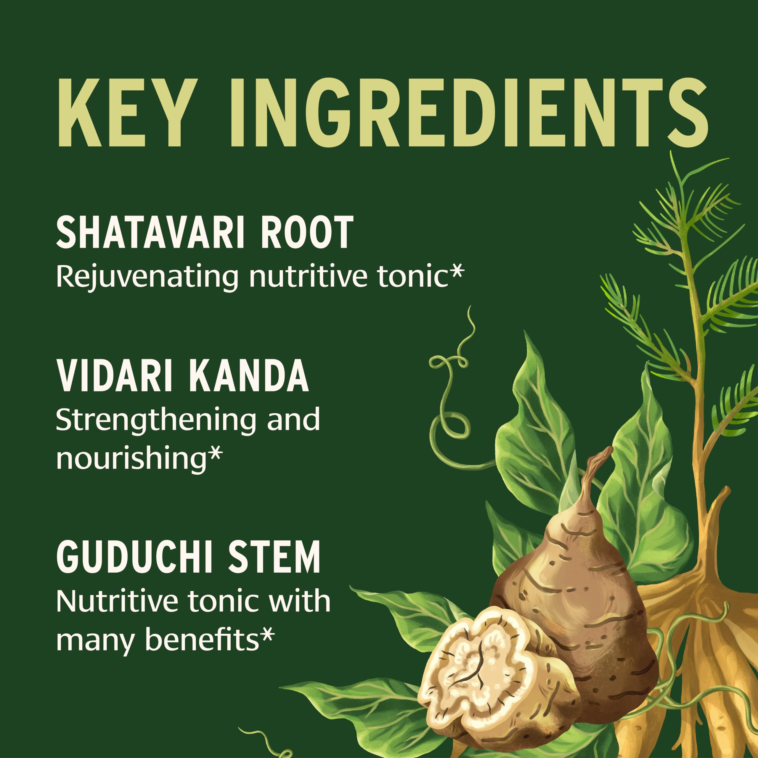 Capsules closeup focuses on herbal tablets and subtle texture for product insight