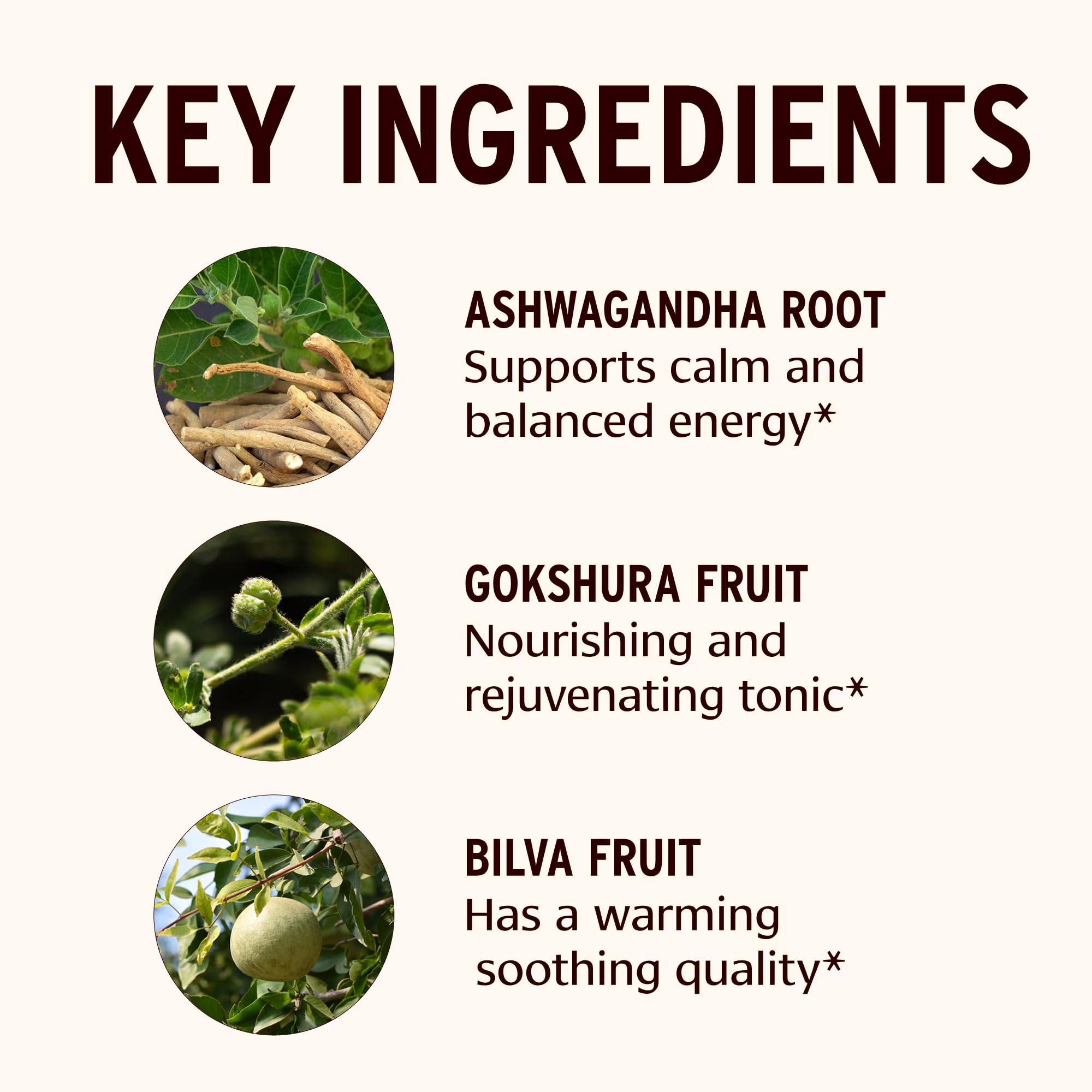 Banyan Dashamula Oil+ label close-up shows organic herbs for quality.
