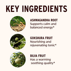 Banyan Dashamula Oil+ label close-up shows organic herbs for quality.