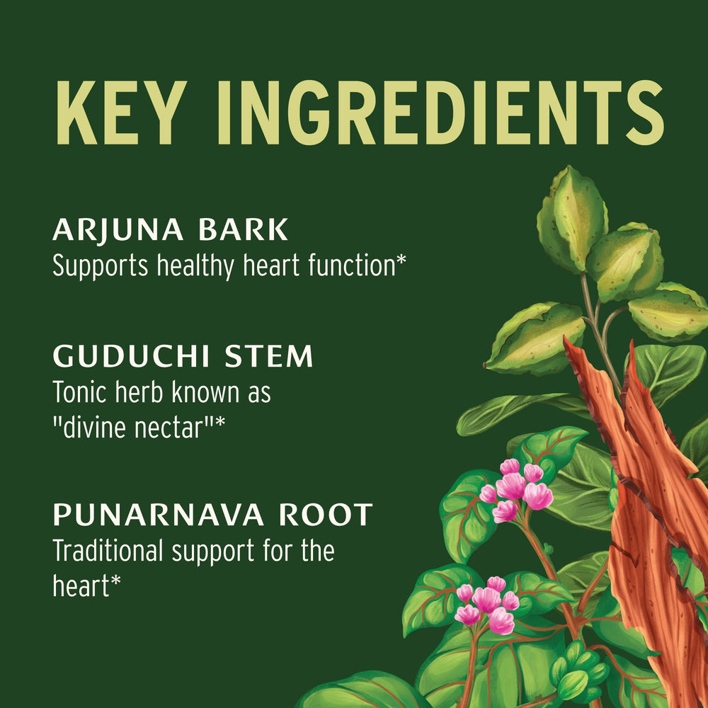 Banyan Heart Formula ingredients hawthorn-berry close-up highlights heart-supporting botanicals.