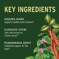 Banyan Heart Formula ingredients hawthorn-berry close-up highlights heart-supporting botanicals.