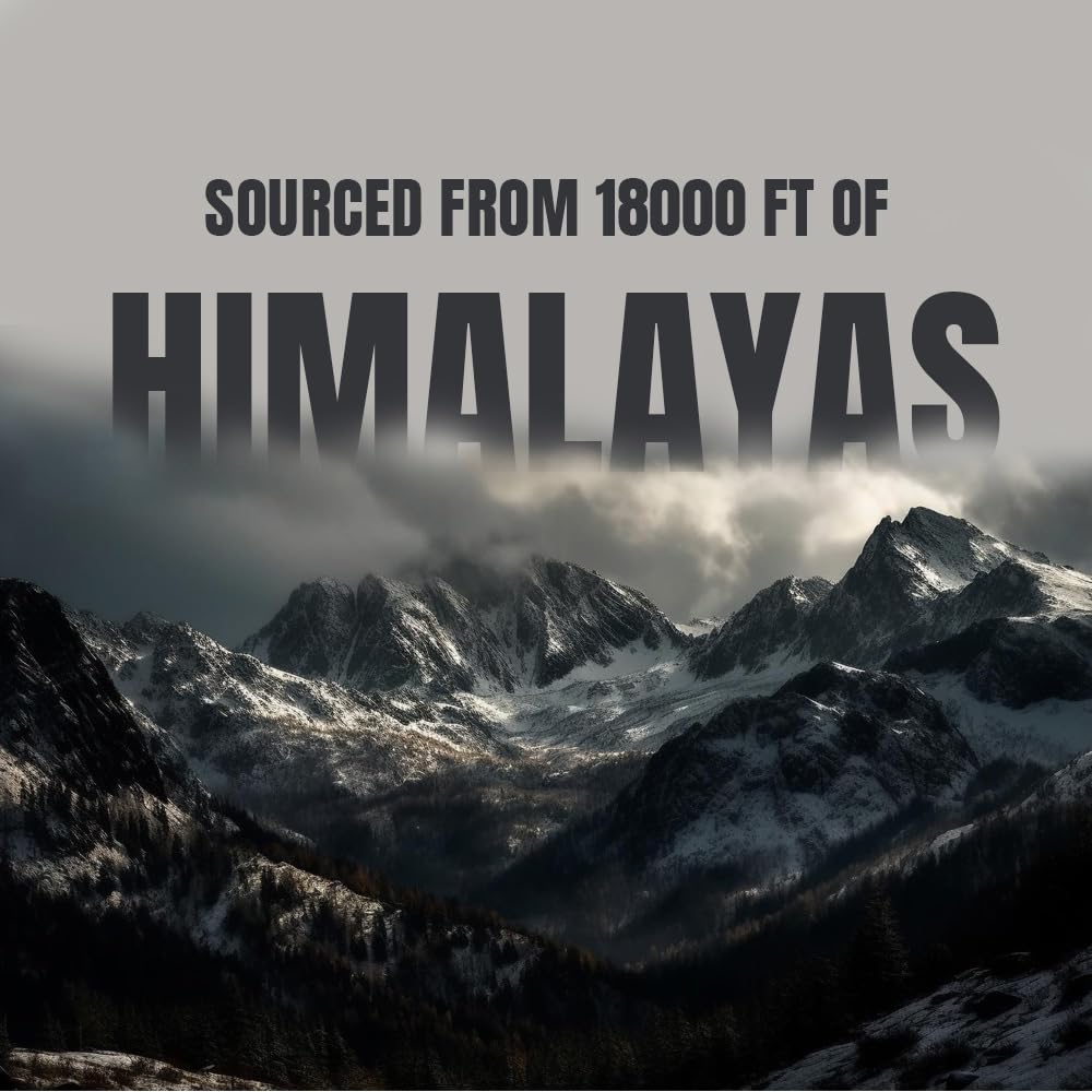 Bargad Fulvic Acid Rich Shilajit highlights mineral content for vitality
