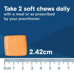 Two chews per day concept with Bariatric Fusion bottle for a simple regimen