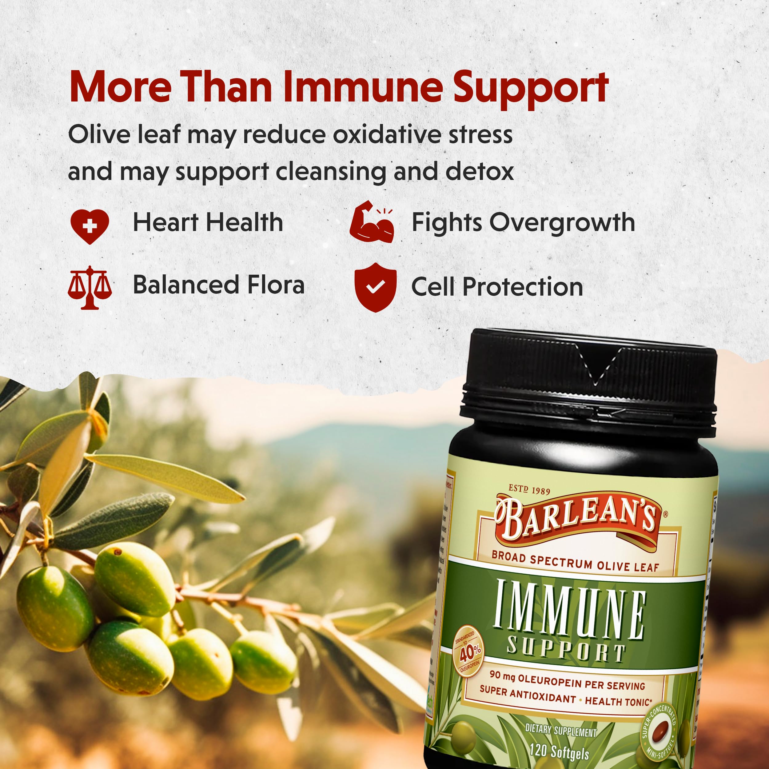 Spanish olive leaves from Andalusia emphasize premium sourcing.