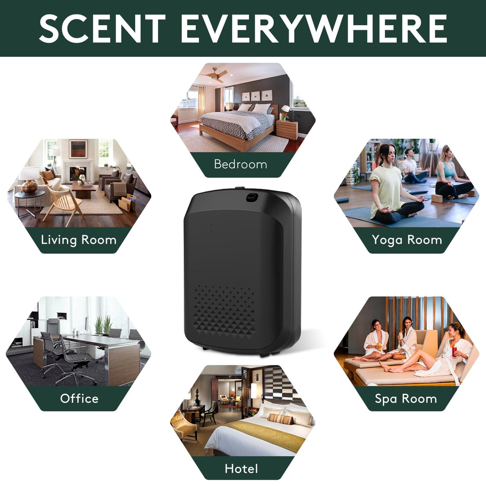 Barthelemy bundle for home, hotel, spa, or office ambiance enhances spaces with fragrance.