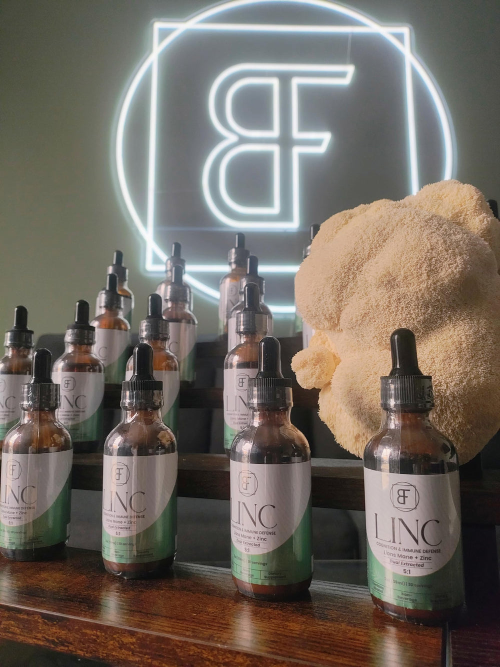 Basidia Farms LINC placed in a calm study setup for focus sessions.