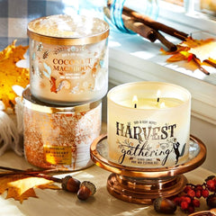 Bath & Body Works Aromatherapy Stress Relief Eucalyptus Tea candle 2019 edition badge visible.