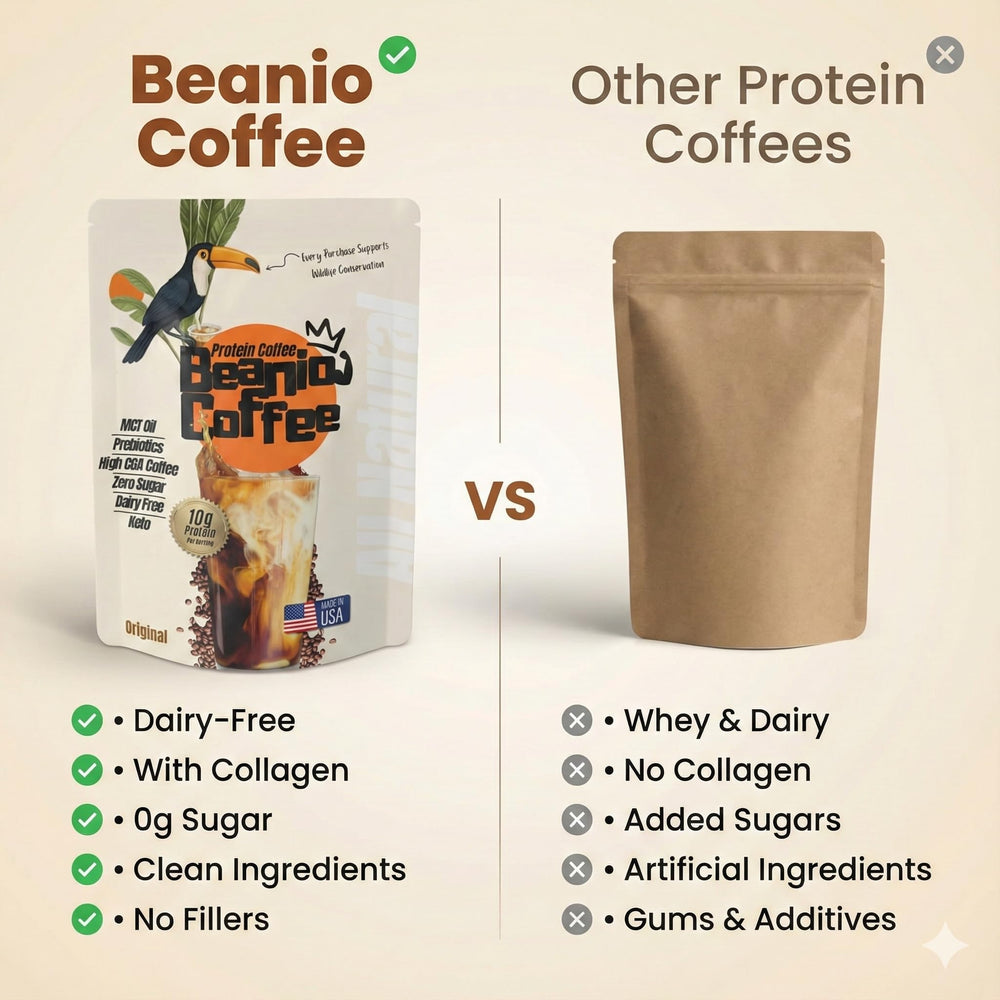 Beanio Protein Iced Coffee powder scoop ready for a quick mix.