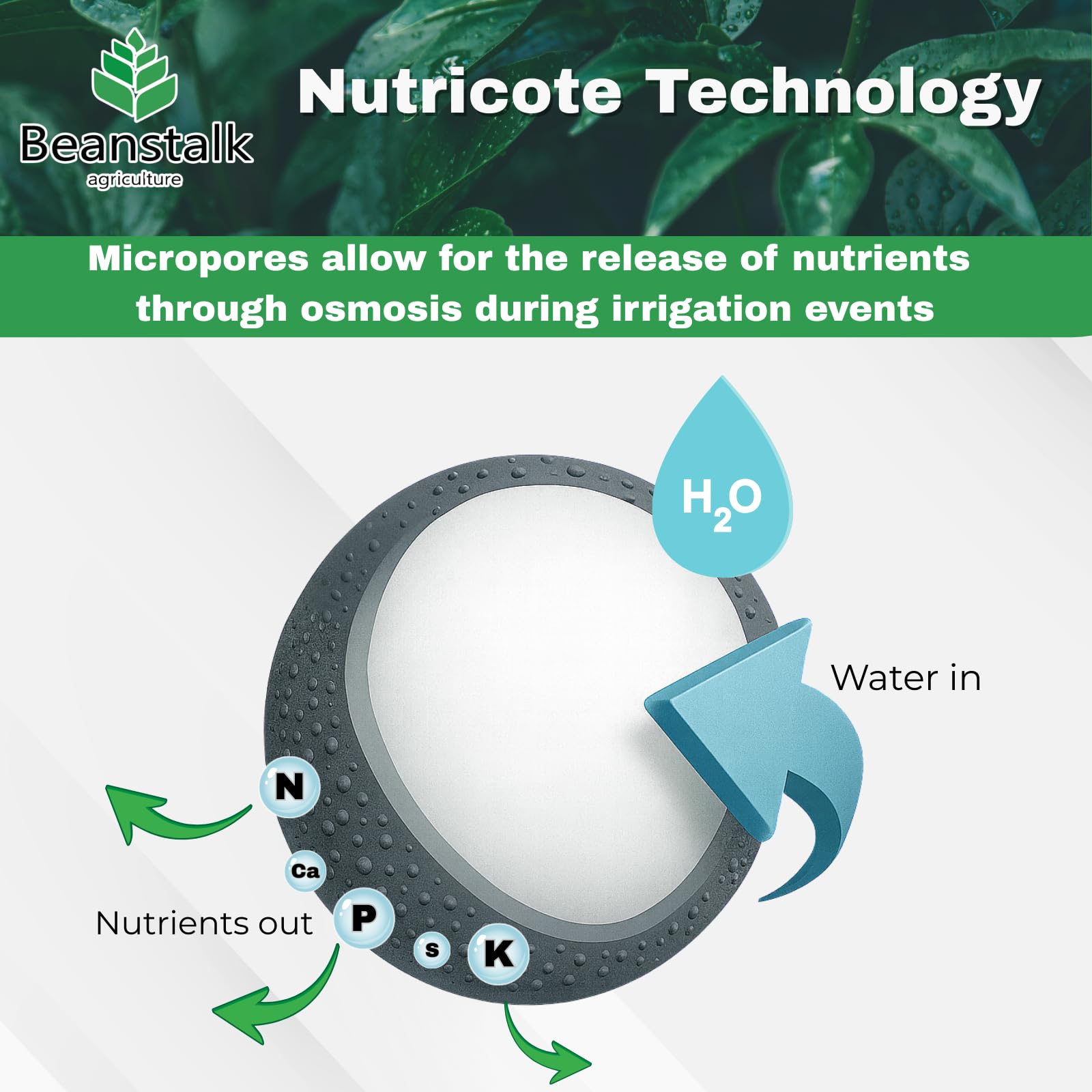Fortify used in hydroponics and soil for versatile growth