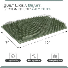 Bear Brush backscratcher firm bristles close-up for direct back scratch experience.