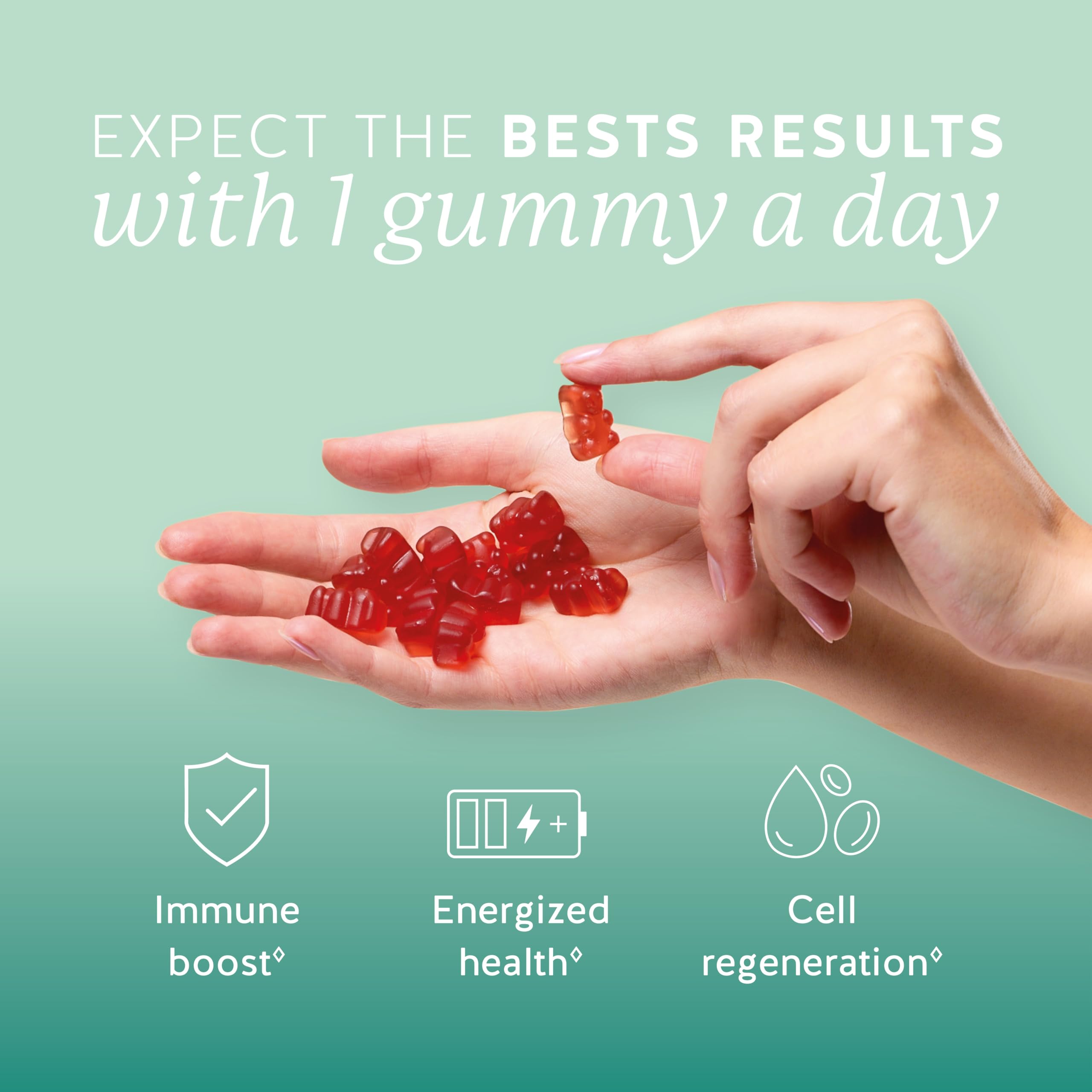 Bears with Benefits Immune Gummies ingredient panel highlights vitamins C, D, B6 and B12