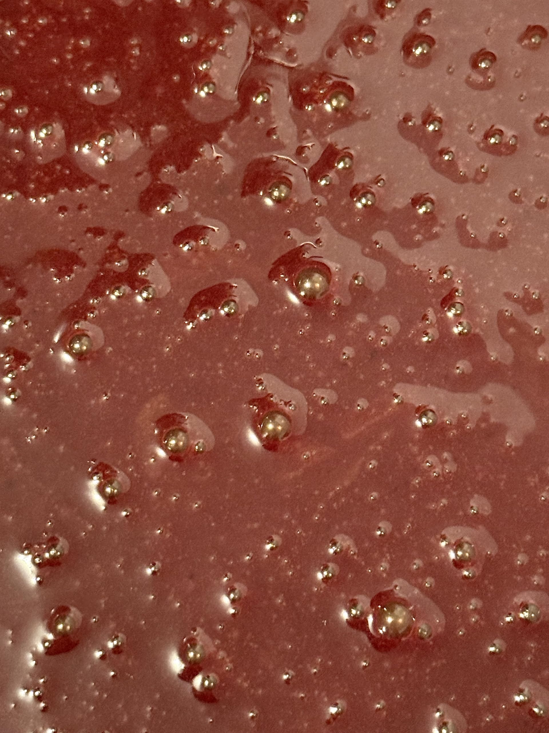 Beeghee creamy fermentation closeup highlighting living cultures and nutrients.