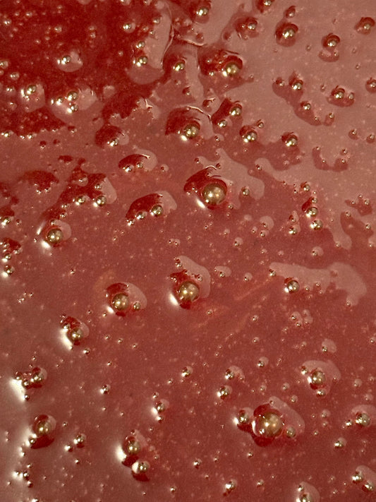 Beeghee creamy fermentation closeup highlighting living cultures and nutrients.
