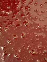 Beeghee creamy fermentation closeup highlighting living cultures and nutrients.