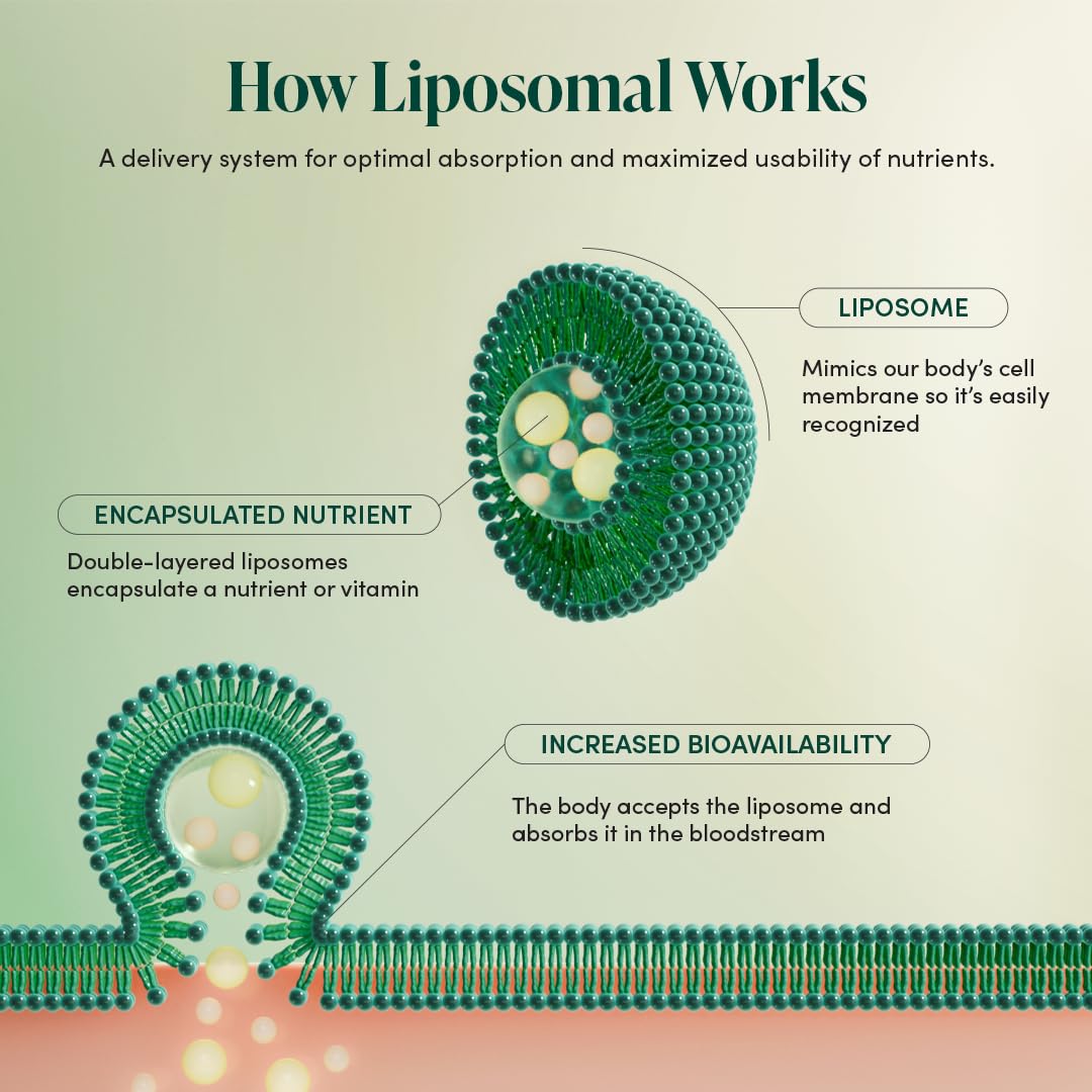 Beekeeper's Naturals liposomal blend featuring elderberry and propolis for daily nutrition.