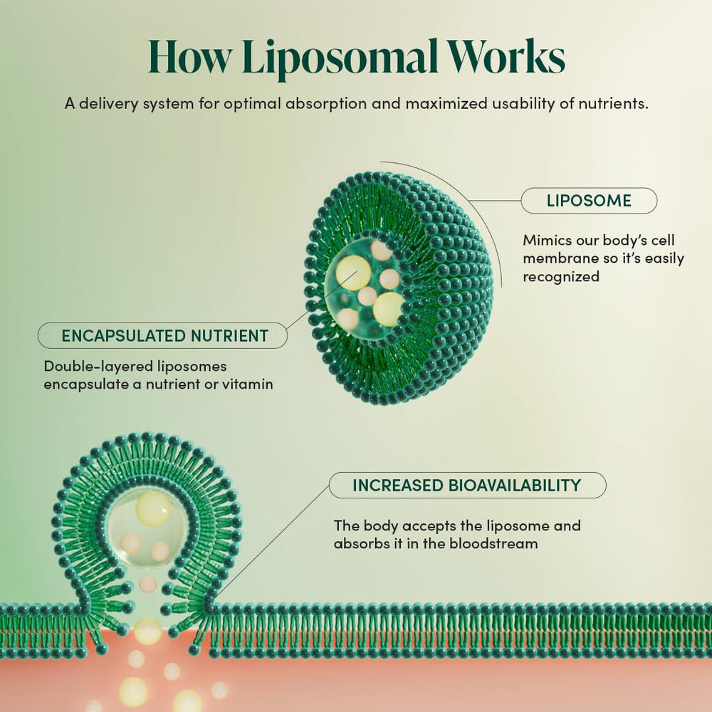 Beekeeper's Naturals liposomal blend featuring elderberry and propolis for daily nutrition.