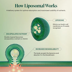 Beekeeper's Naturals liposomal blend featuring elderberry and propolis for daily nutrition.