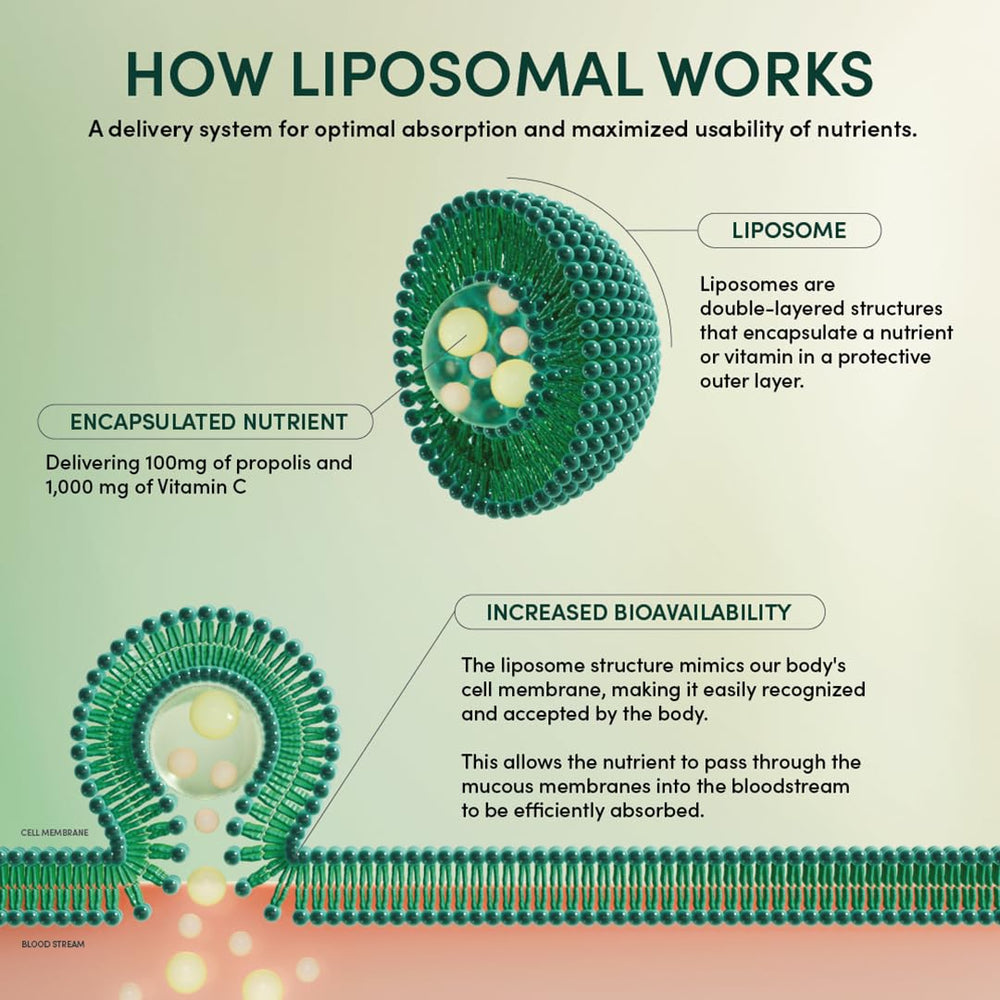 Ingredients panel highlights organic honey and propolis within liposomal delivery