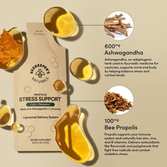 Front view of Beekeeper's Naturals stress support packets for daily use.