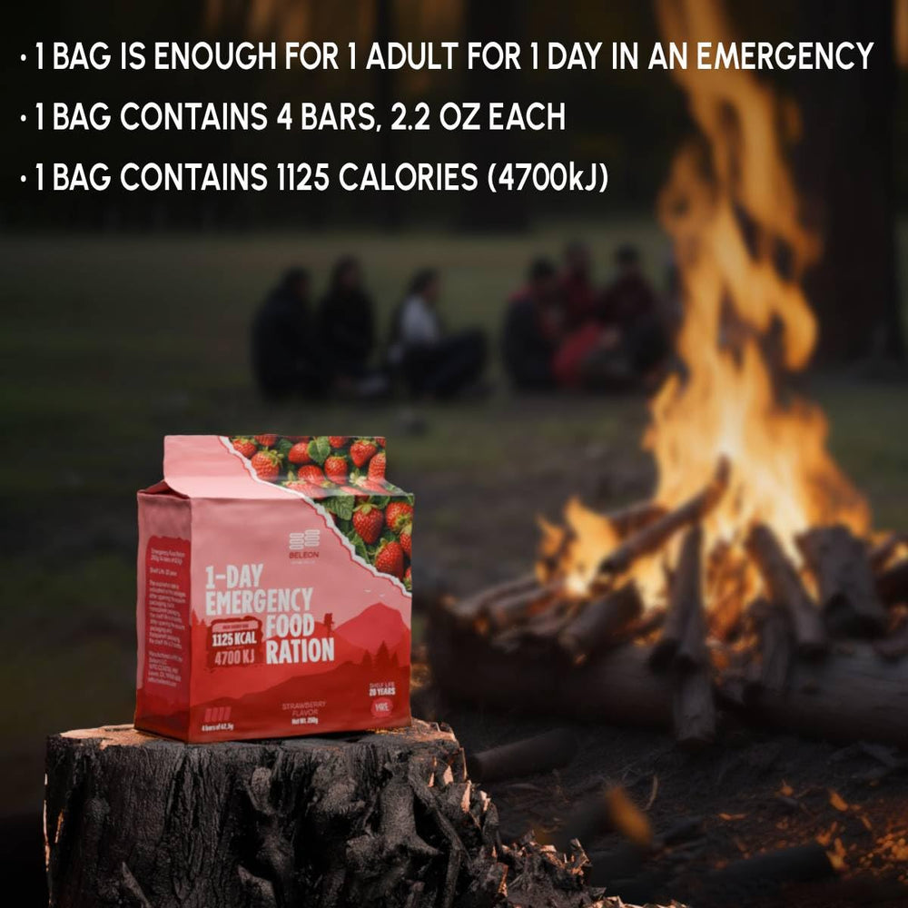 Beleon survival ration blocks showing seven portions