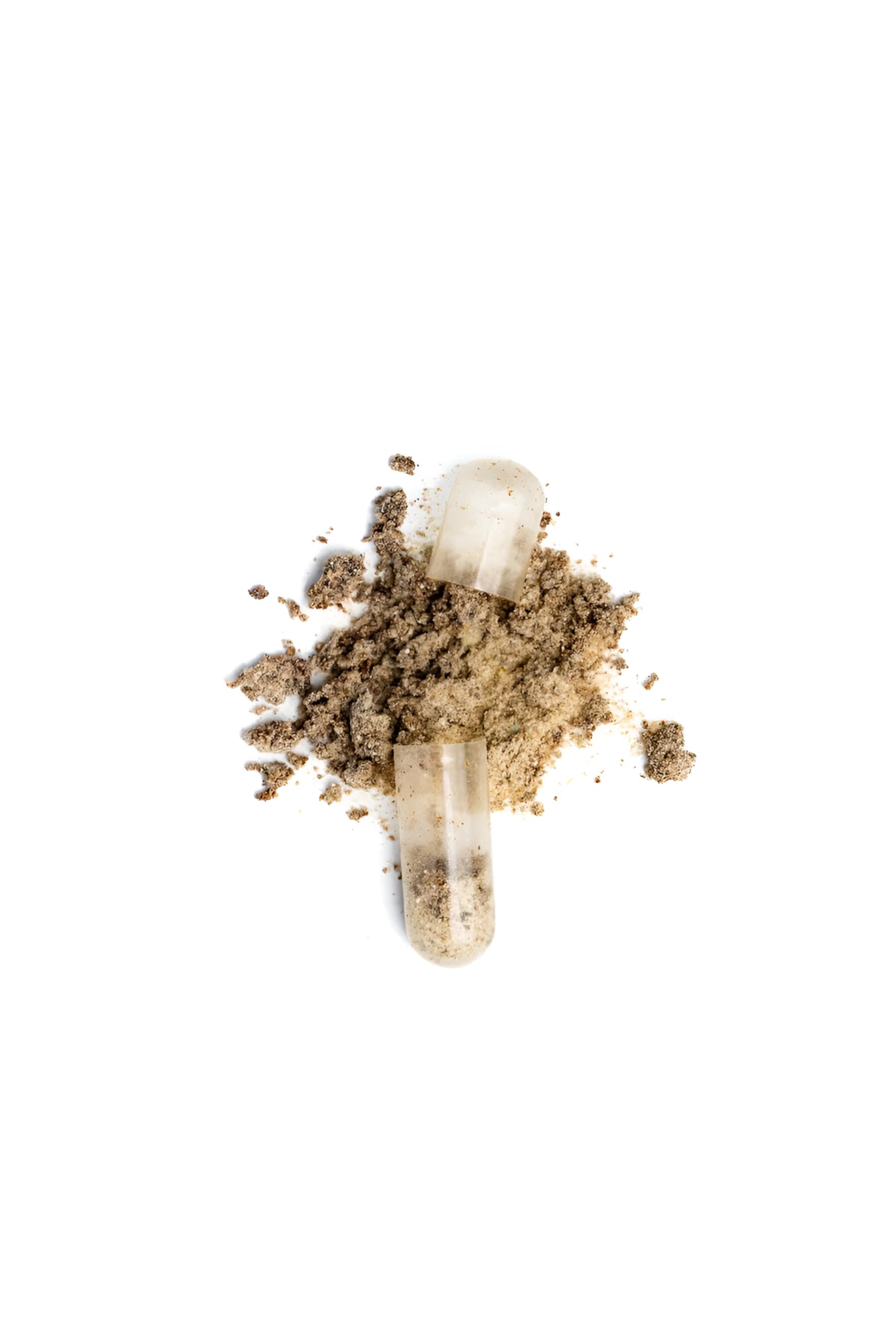 Bella All Natural Moringa packaging display, pure antioxidant-rich daily supplement