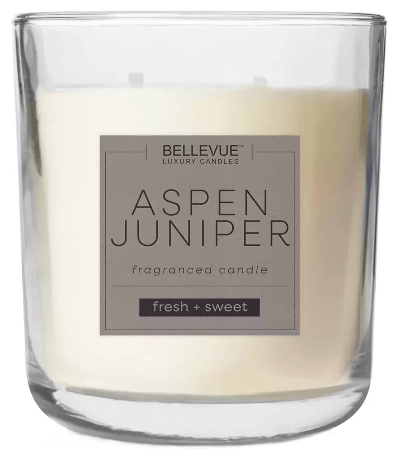 Seaside Moss fragrance close-up from Bellevue candle evokes coastal ambiance.