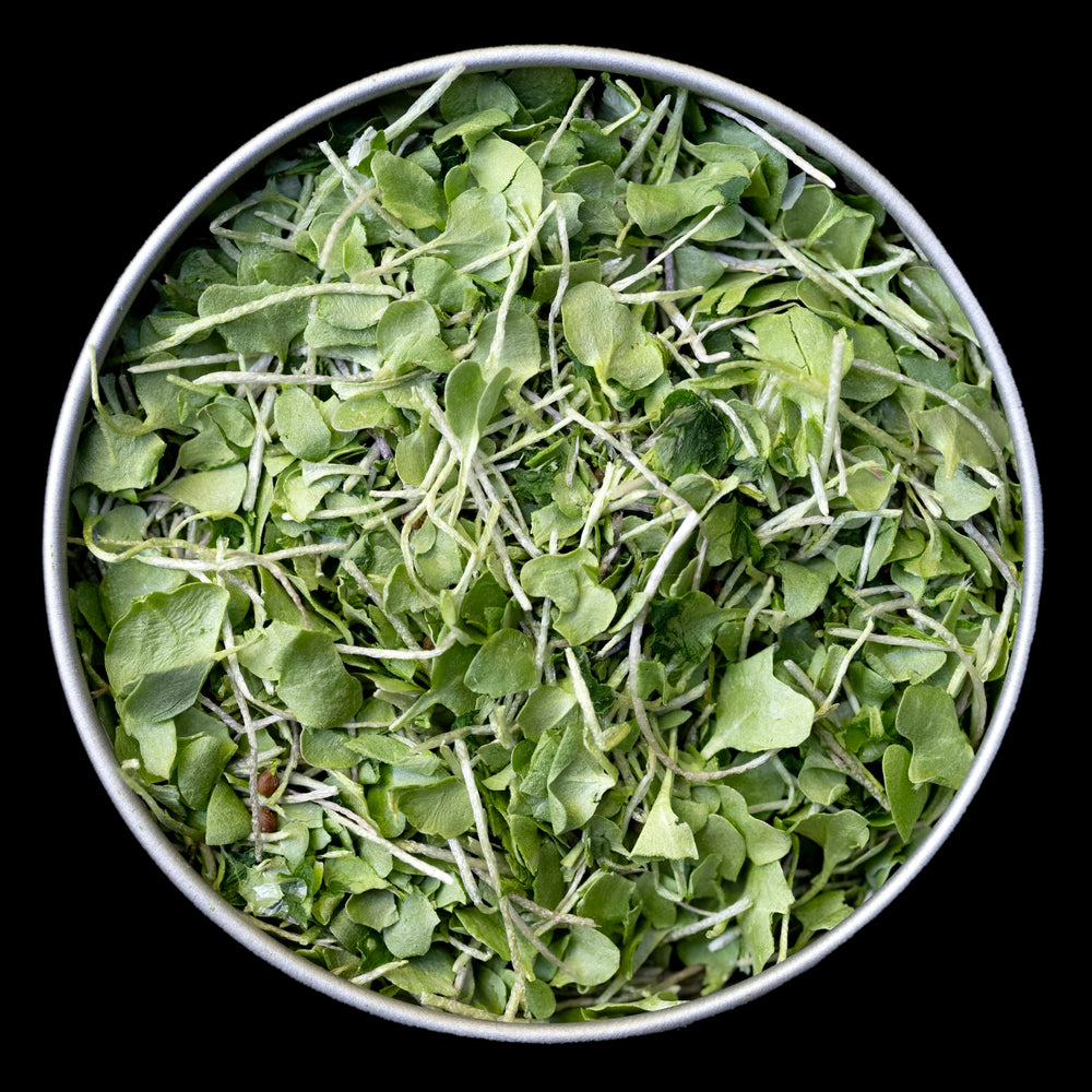 BeMicro whole food microgreens bottle close-up, ideal for smoothies and soups.