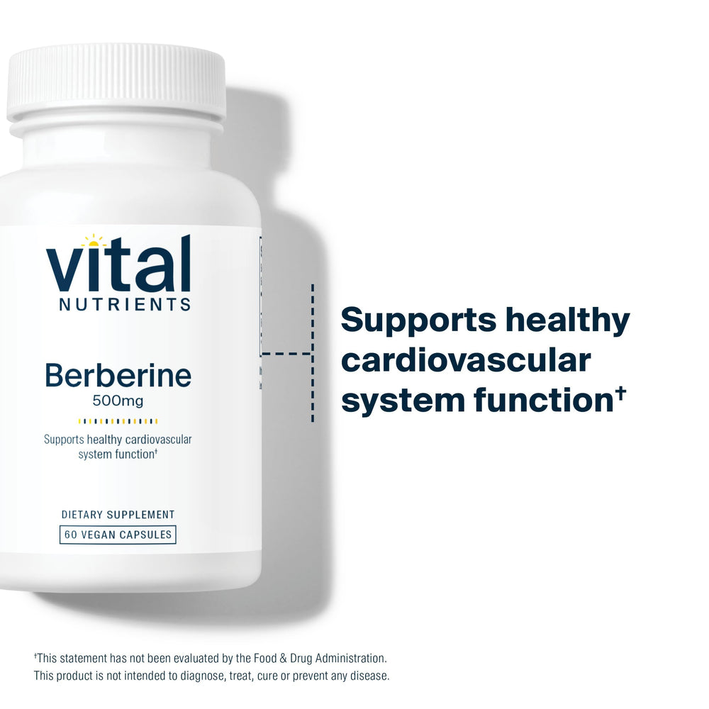 Berberine capsules in hand illustrate convenient daily supplementation
