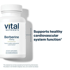 Berberine capsules in hand illustrate convenient daily supplementation